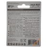 ААА Westinghouse Premium 800 mah (2 шт. в блистере) ААА Westinghouse Premium 800 mah (2 шт. в блистере)