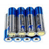 Батарейки АА LR6 Alkaline Nectium Golden 1.5V с позолоченным контактом минус для лучшей токоотдачи - упаковка 48 шт